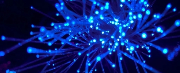 日本新技術(shù)創(chuàng)數(shù)據(jù)傳輸速度新紀(jì)錄 每秒319Tb，重塑電子產(chǎn)品未來(lái)